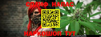 ешки Моздок