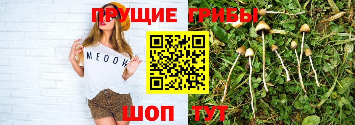 Протвино  ГАШИШ  МАРИХУАНА  A PVP СК кристаллы  Вход с VPN  Кокаин  Меф  