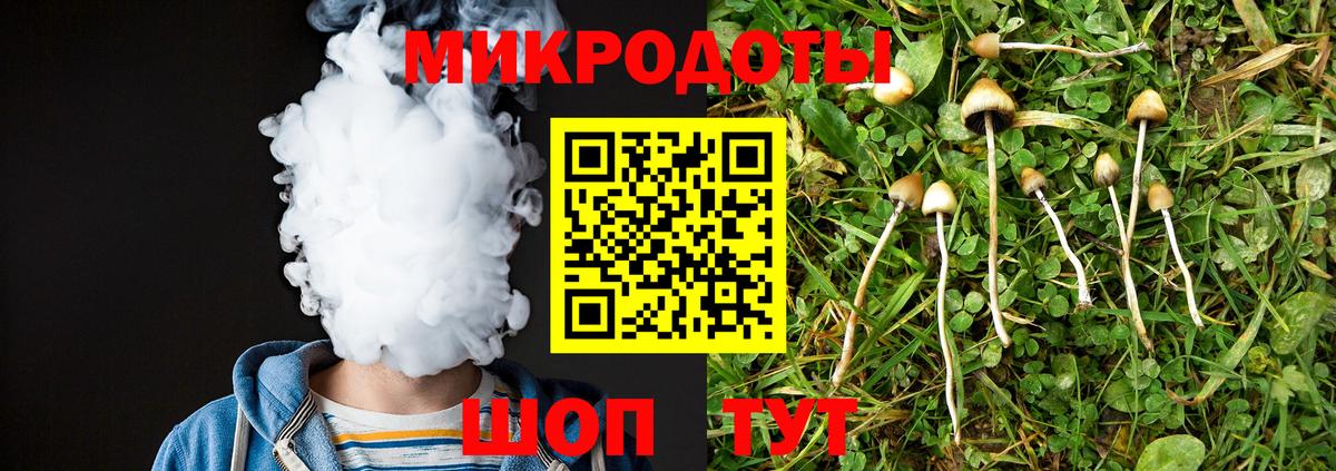 наркошоп  Вход с VPN  Протвино  Галлюциногенные грибы Psilocybine cubensis 