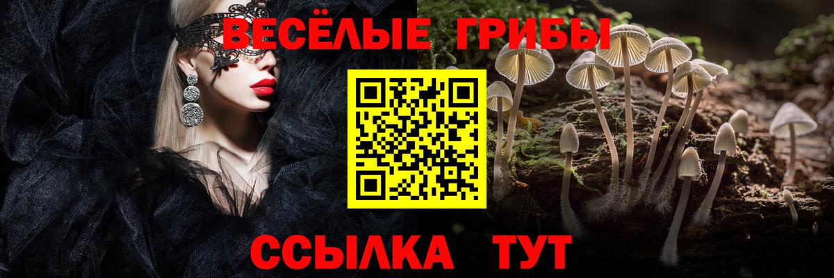 Псилоцибиновые грибы мухоморы Протвино